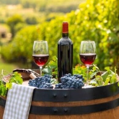 Požiūris į Bordeaux (Bordo) vynus Požiūris į Bordeaux (Bordo) vynus