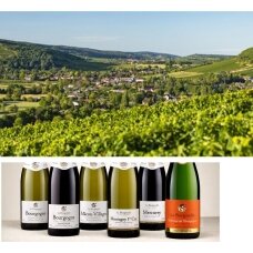 Burgundijos vynuogynuose gimsta puikūs istoriškai ir tarptautiniu mastu pripažinti vynai Burgundijos vynuogynuose gimsta puikūs istoriškai ir tarptautiniu mastu pripažinti vynai