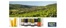 Burgundijos vynuogynuose gimsta puikūs istoriškai ir tarptautiniu mastu pripažinti vynai