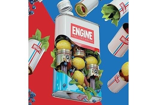 Džinas-Engine Organic Italian Gin 42% 0.7L 1
