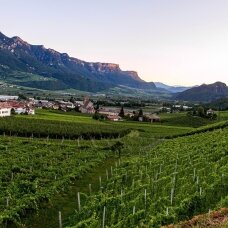 Kuo įdomūs Trentino vynai: Alpių gaiva tavo taurėje Kuo įdomūs Trentino vynai: Alpių gaiva tavo taurėje