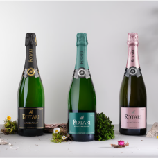 Kuo skiriasi Prosecco, Franciacorta bei Trento DOC? Kuo skiriasi Prosecco, Franciacorta bei Trento DOC?