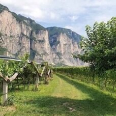 Kuo įdomūs Trentino vynai: Alpių gaiva tavo taurėje Kuo įdomūs Trentino vynai: Alpių gaiva tavo taurėje