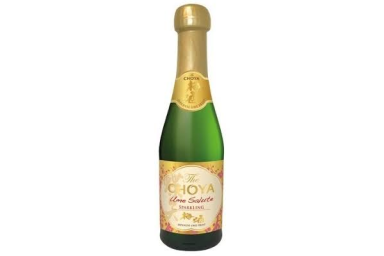 Put.vynas-Choya Ume Salute 5.5% 0.2L Put.vynas-Choya Ume Salute 5.5% 0.2L