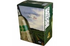 Vynas-Ca`Delvento Bianco 11% 5L