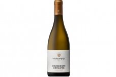 Vynas-Edouard Delaunay Burgundy Cote D'or Chardonnay 2021 12.5% 0.75L
