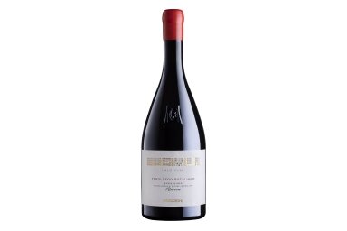 Vynas-Mezzacorona Musivum Teroldego Riserva Superiore Rotaliano DOC 2019 14% 0.75L Vynas-Mezzacorona Musivum Teroldego Riserva Superiore Rotaliano DOC 2019 14% 0.75L