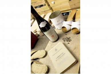 Vynas-Tombacco Aglianico Del Beneventano IGT 2024 14% 0.75L 1